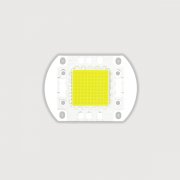 100B - 100W integrated light source is white